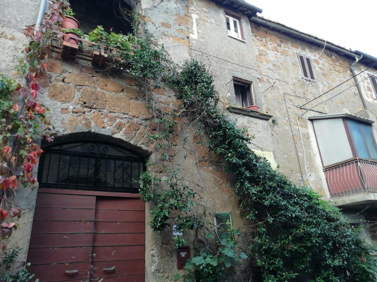 Relax Dal Caos Di Citta Apartment Barbarano Romano Exterior foto