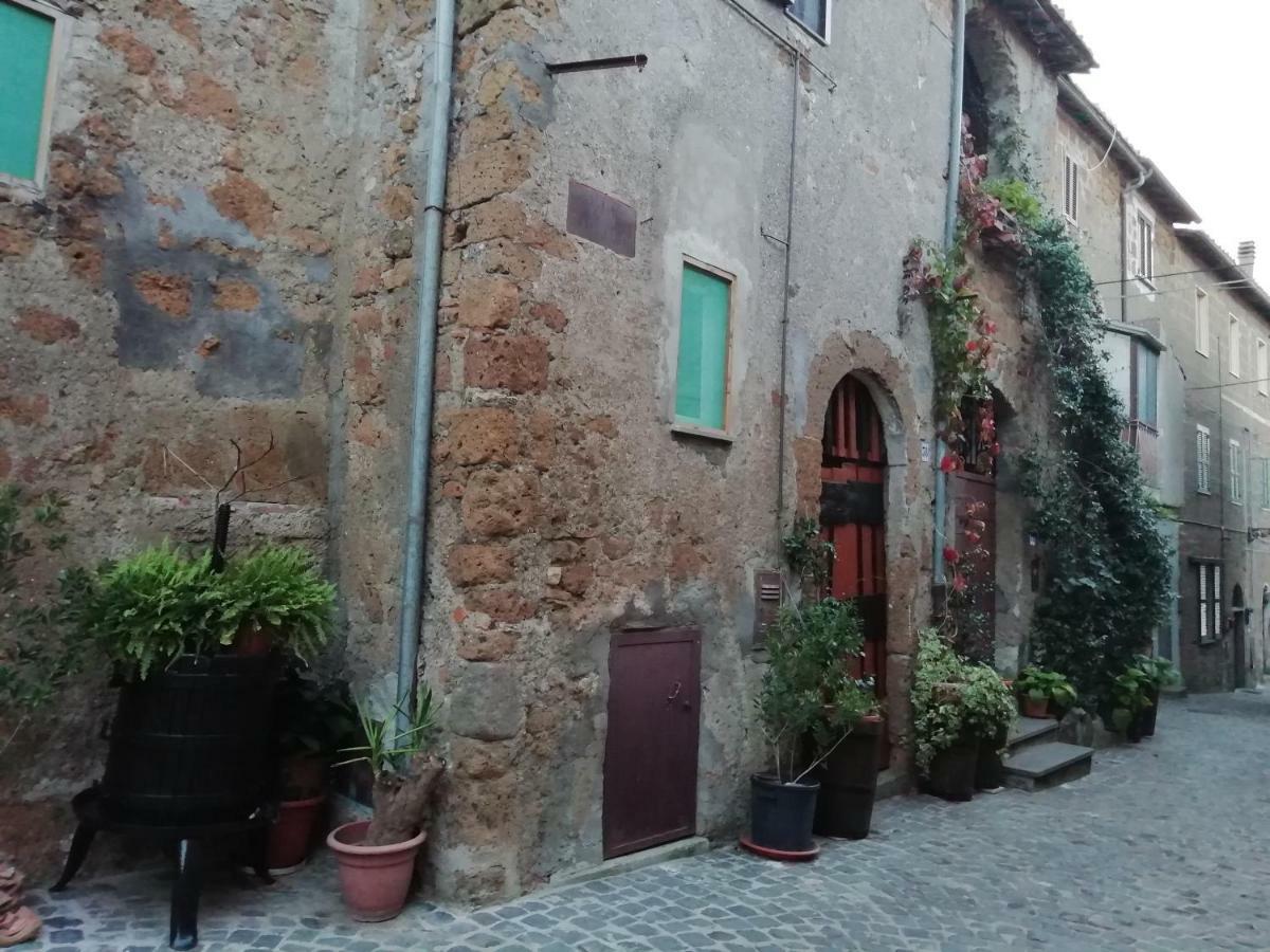Relax Dal Caos Di Citta Apartment Barbarano Romano Exterior foto