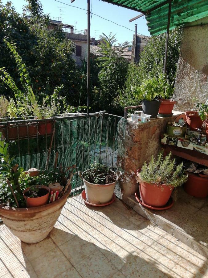 Relax Dal Caos Di Citta Apartment Barbarano Romano Exterior foto
